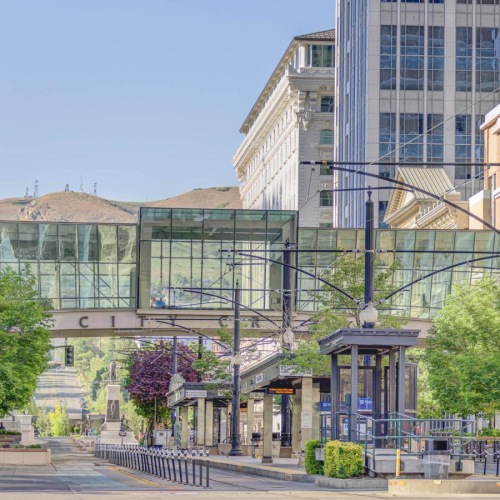 a downtown street with trees and buildings